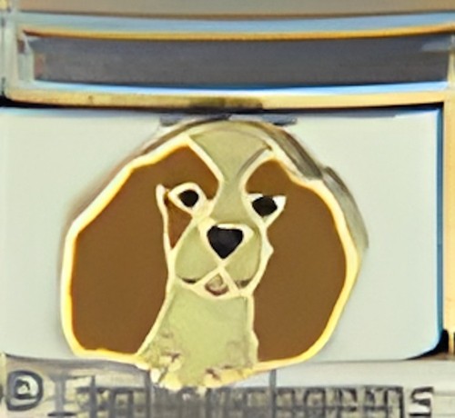 Cocker spaniel brown - ears, dog