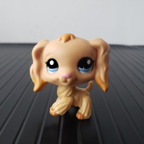 Littlest pet shop 1716 - pet,
