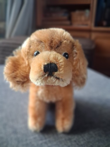Golden cocker spaniel steiff - spaniel,
