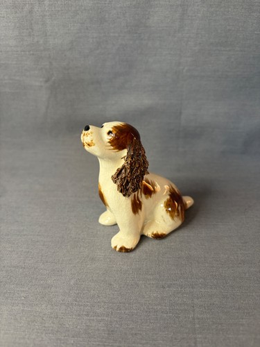 Cocker spaniel brown white - spaniel, &