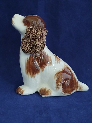 Spaghetti dog cocker spaniel - dog,
