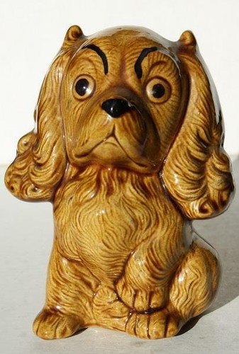 Cocker spaniel dog - cocker,